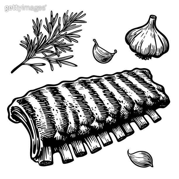 Simple hand drawn line drawing of grilled ribs and spices on white ...