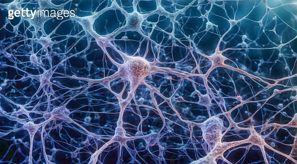 Microscopic of Neural network Brain cells 이미지 (2078705496) - 게티이미지뱅크
