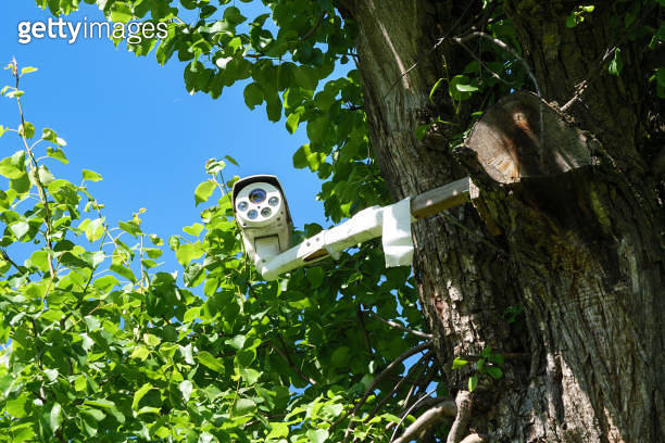 Security camera mounted on the tree branch 이미지 (2158087107) - 게티이미지뱅크