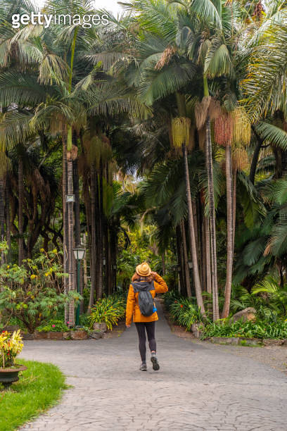 A tourist woman strolling in a tropical botanical garden with large