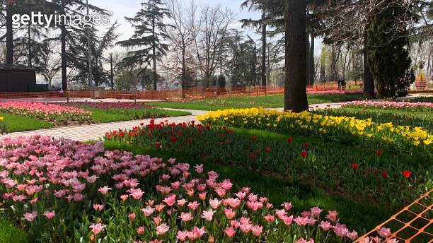 Beautiful spring garden, famous turkish park Emirgan Korusu in Istanbul ...