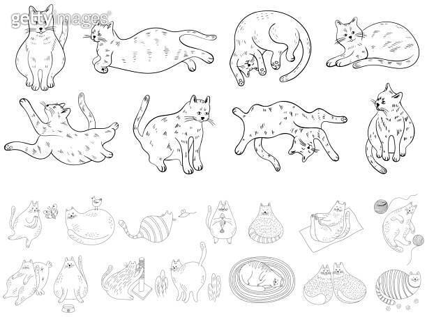 Set of cute cartoon cats different poses. Hand drawn illustration in ...