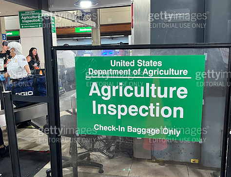 Agriculture Inspection at Airport in Hawaii 이미지 (1959851865) - 게티이미지뱅크