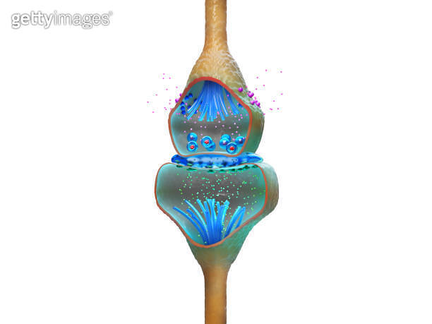 Neuron, nerve cell axon and myelin sheath substance that surrounds the ...